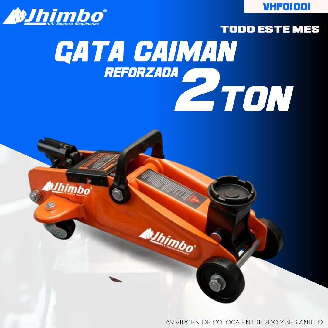 Gata caiman - Categoría Jhimbo